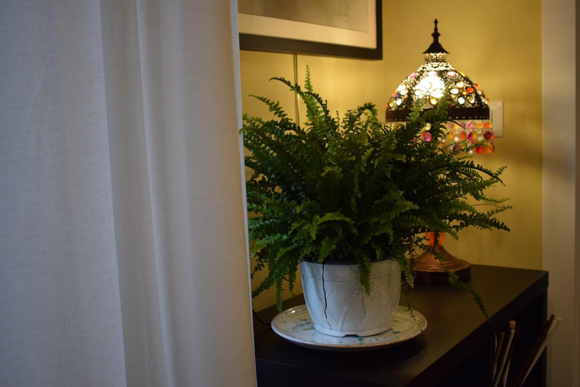 La Dimora Dell'Arte Bed & Breakfast Bari Ngoại thất bức ảnh